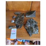 Upper Kataning fossils