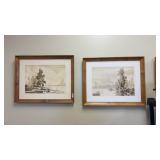 Framed Scenic Art