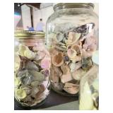 Jars of Seashells Lot
