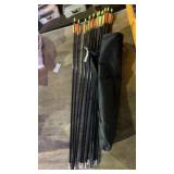 12 Fiberglass Arrows & quiver
