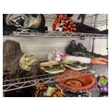 Shelf of Halloween Decor