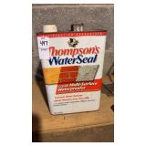 Thompsonï¿½s WaterSeal clear multi surface water