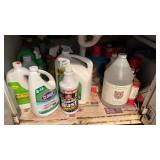 Cabinet Contents, Cleaning supplies, gloss