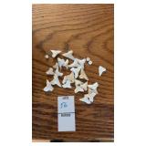 Lot of Shark Teeth