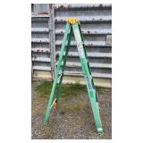 Werner 6 Ft Ladder