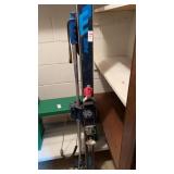 ELAN SKIIS & Poles in tote