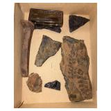 Lot of Fossils