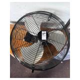 Fan