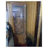Gun cabinet