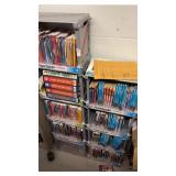 Scholastic plastic book organizer with books