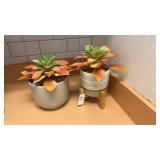 Faux Succulents