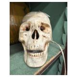 Skull Head Plug In Light