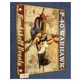 P-40 Warhawks Bombshell Beauty Tin Sign *Repro*