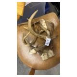 4 Deer antlers