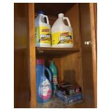 Bleach and Laundry Detergent
