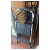 Cosco Step Ladder