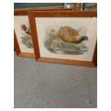 Pair of antique J. Wolf and J. Smit Pheasant