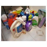 Cleaning supply lot