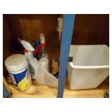 Under bathroom sink contents