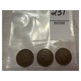 Three Indian Head Cents