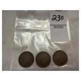 Three Indian Head Cents