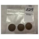 Three Indian Head Cents