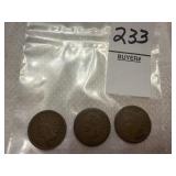 Three Indian Head Cents