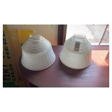 2 Glass Lamp Shades