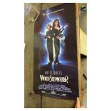 Wicked Stepmother Poster