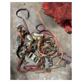 Lot of ratchet straps