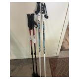 Expanding Snowshoe poles/ 46 in Ski Poles