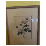 3 botanical prints; signed & numbered, framed &