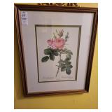4 botanical prints