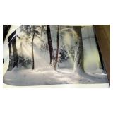 Anthony E. Cook ï¿½ A Winter Awakening ï¿½ print #151