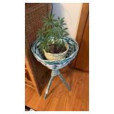 Plant Stand And Plant
