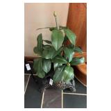 Aztec Plant Stand