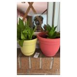 2 plastic mini planters