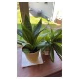 1 porcelain and 1 plastic planters