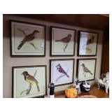 6 Framed spring solider birds 15in. X 15in