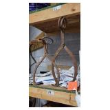 Ice tongs