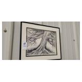 Sally Stewart tree sketch