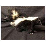 Skunk Taxidermy Mount