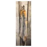 Fox Pelt