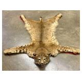 Jonas Brothers of Seattle North American Bobcat Ta