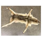 Tanned Full Body Coyote Pelt Hide