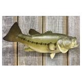 Taxidermy Largemouth Bass Mount