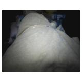 Monte Jardin Blanket