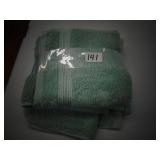Charisma Hand Towel and Wash Cloth - new