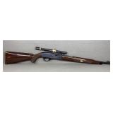 Remington Nylon 66, 22LR Rifle