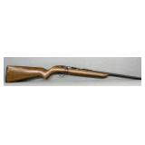 Revelation 101, .22 Rifle